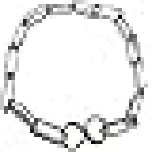 Duvo Plus Silver Chrome Choke Dog Collar (70x0.3cm)