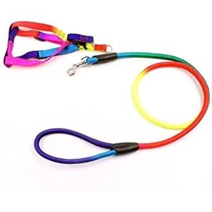 Petbroo Small Multicolored Dog Harness with Leash (120x0.8cm)
