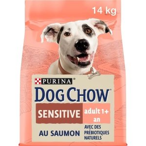 Purina Dog Chow Dry Food with Salmon for Sensitive Adult Dogs (1+ Years)