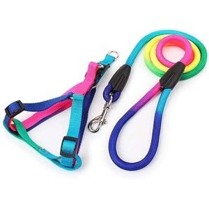 Bomei Medium Multicolored Dog Harness with Leash