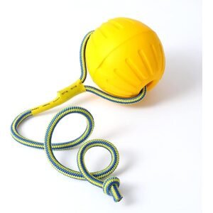 Bomei Yellow & Green Rope Dog Tug Toy with Ball