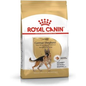 Royal German sheperd  Adult 3 K