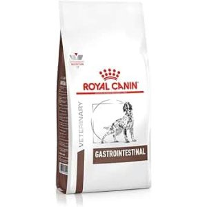 royal gastrointestinal Dog -2k