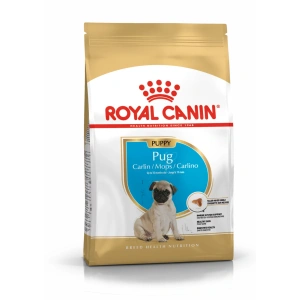 royal puppy bhn pug 1.5k